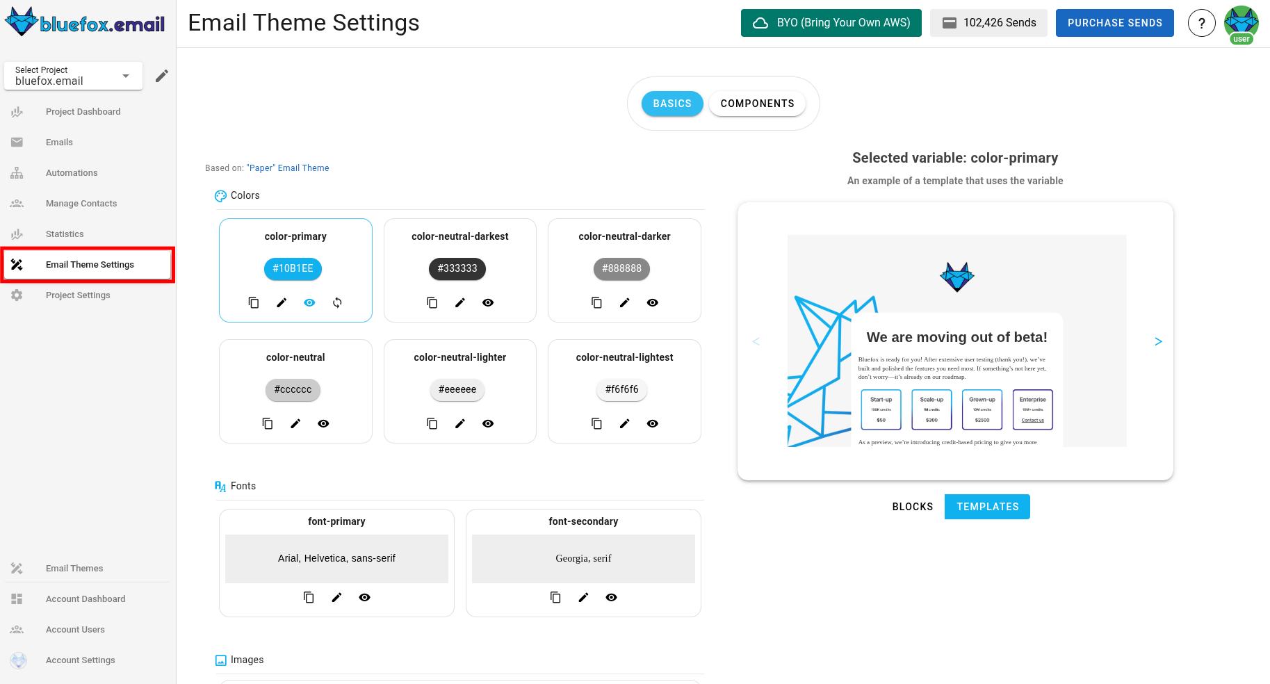 A screenshot of a project's email theme settings section.