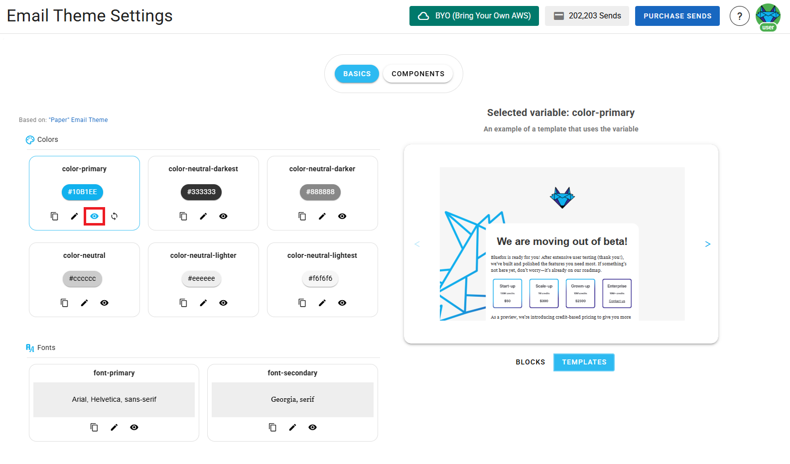 A screenshot of a project's email theme settings section - preview icon highlighted.