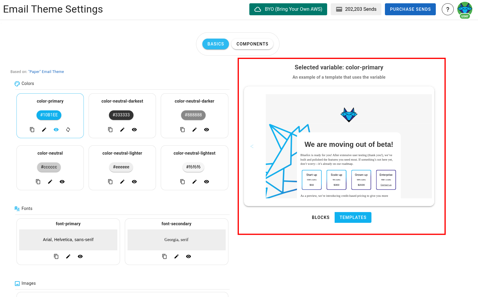 A screenshot of a project's email theme settings section - preview highlighted.