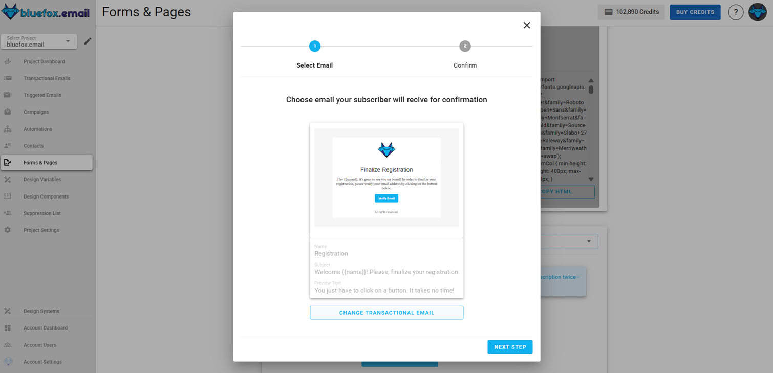 Screenshot of the subscriber lists manage active double opt-in page