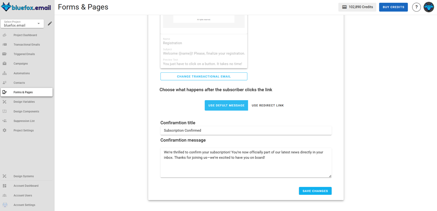 Screenshot of the subscriber lists manage active double opt-in page