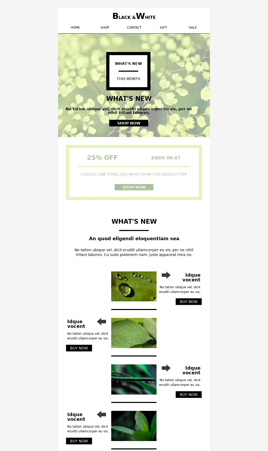 Spring seasonal promotional newsletter email template